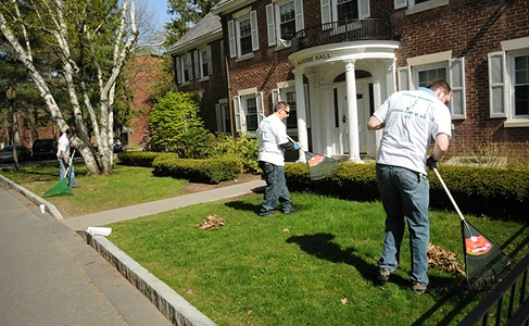 Property Cleanups